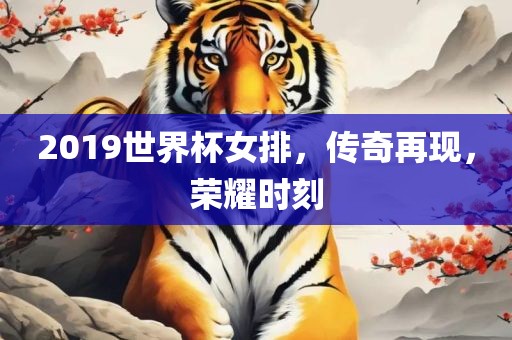 2019世界杯女排，传奇再现，荣耀时刻