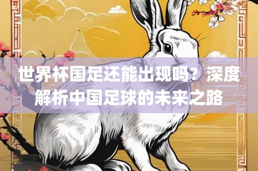 世界杯国足还能出现吗？深度解析中国足球的未来之路