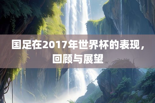 国足在2017年世界杯的表现，回顾与展望