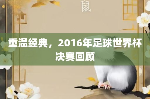 重温经典，2016年足洛阳市法福文化传播有限公司球世界杯决赛回顾