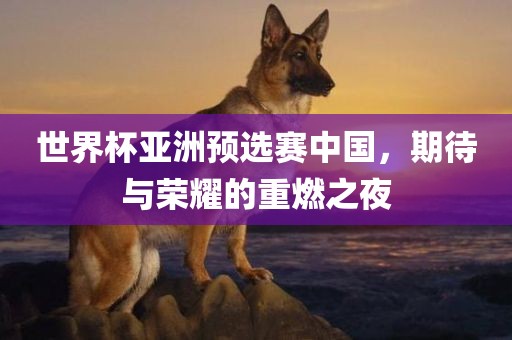 世界杯亚洲预选赛中国，期待与荣耀的重燃之夜