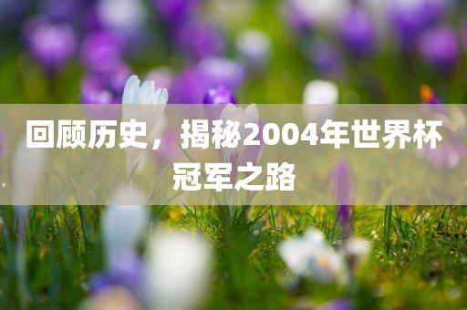 回顾历史，揭秘2004年世界杯冠军之路