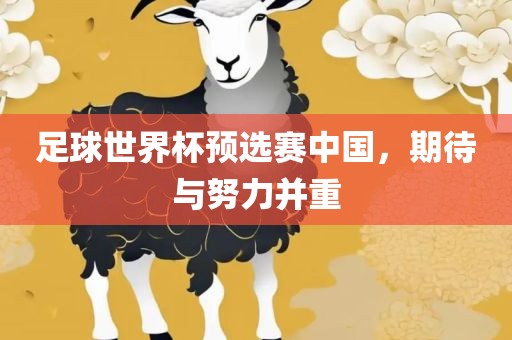 足球世界杯预选赛中国，期待与努力并重