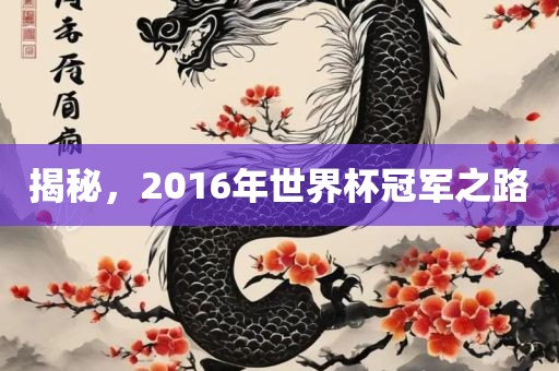 揭秘，2016年世界杯冠军之路