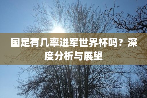 国足有几率进军世界杯吗？深度分析与展望
