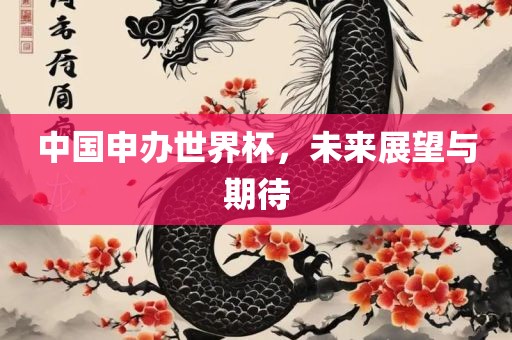 中国申办世界杯，未来展望与期待