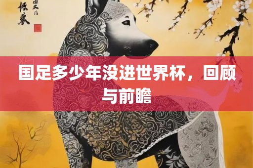 国足多少年没进世界杯，回顾与前瞻