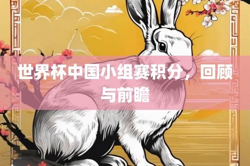 世界杯中国小组赛积分，回顾洛阳市法福文化传播有限公司与前瞻