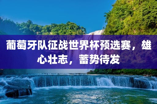葡萄牙队征战世界杯预选赛，雄心壮志，蓄势待发