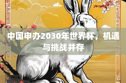 中国申办2030年世界杯，机遇与挑战并存