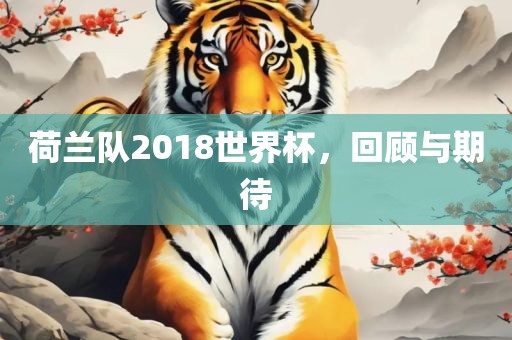荷兰队2018世界杯，回顾与期待