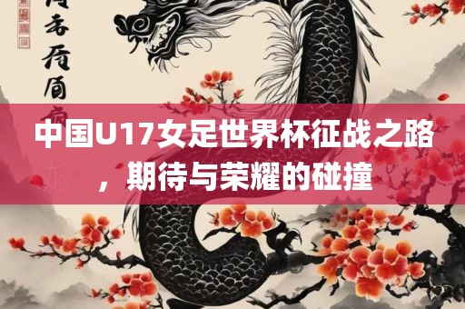中国U17女足世界杯征战之路，期待与荣耀的碰撞洛阳市法福文化传播有限公司