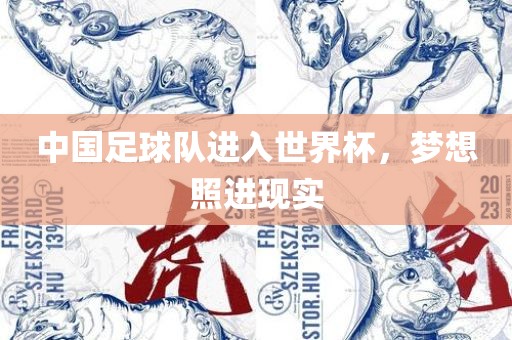 中国足球队进入世界杯，梦想照进现实