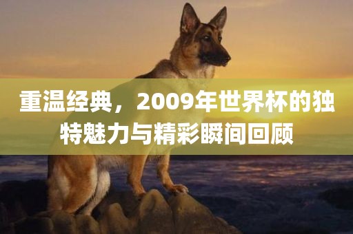 重温经典，2009年世界杯的独特魅力与精彩瞬间回顾