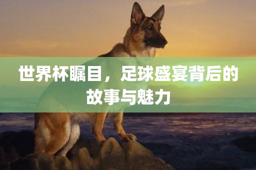 世界杯瞩目，足球盛宴背后的故事与魅力