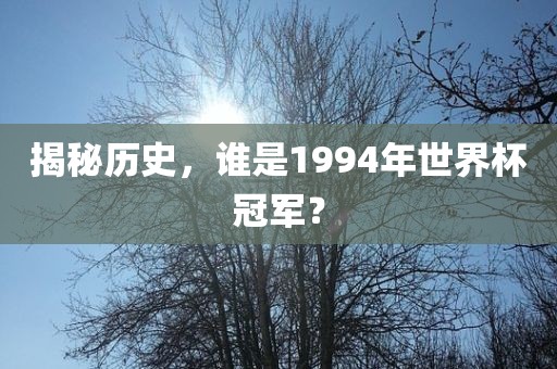 1994年