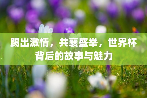 踢出激情，共襄盛举，世界杯背后的故事与魅力