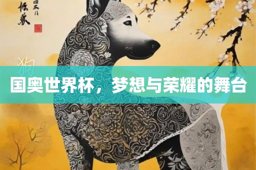 国奥世界杯，梦想与荣耀的舞台