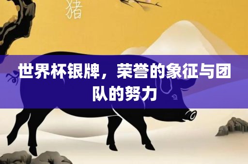 世界杯银牌，荣誉的象征与团队的努力洛阳市法福文化传播有限公司