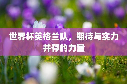 世界杯英格兰队，期待与实力并存的力量