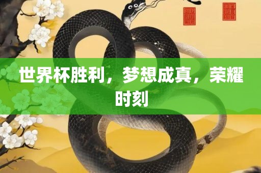 世界杯胜利，梦想成真，荣耀时刻