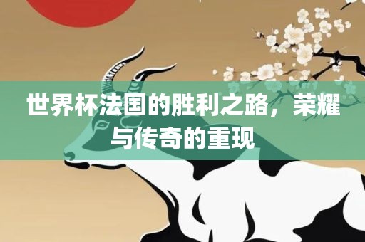 世界杯法国的胜利之路，荣耀与传奇的重现
