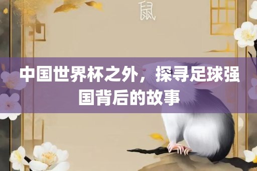 中国世界杯之外，探寻足球强国背后的故事