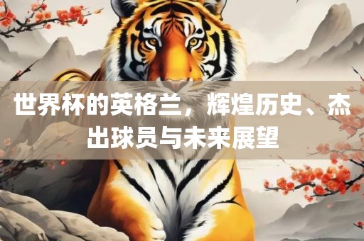 世界杯的英格兰，辉煌历史、杰出球员与未来展望