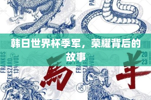 韩日世界杯季军，荣耀背后的故事