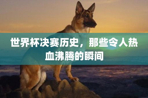 世界杯决赛历史，那些令人热血沸腾的瞬间