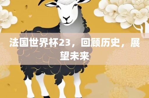 法国世界杯23，回顾历史，展望未来