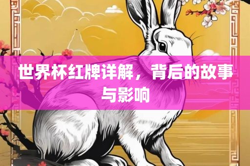 世界杯红牌详解，背后的故事与影响