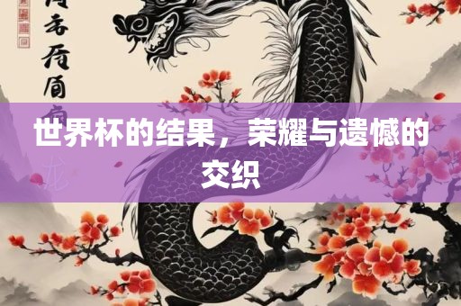 世界杯的结果，荣耀与遗憾的交织