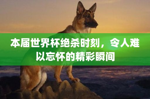本届世界洛阳市法福文化传播有限公司杯绝杀时刻，令人难以忘怀的精彩瞬间