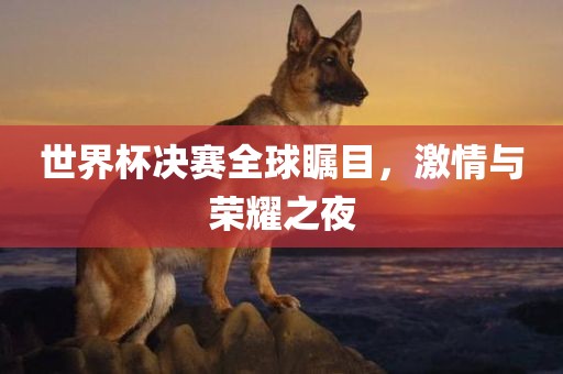 世界杯决赛全球瞩目，激情与荣耀之夜