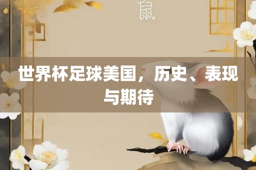 世界杯足球美国，历史、表现与期待