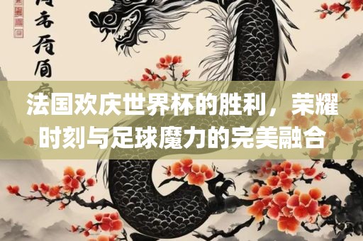 法国欢庆世界杯的胜利，荣耀时刻与足球魔力的完美融合