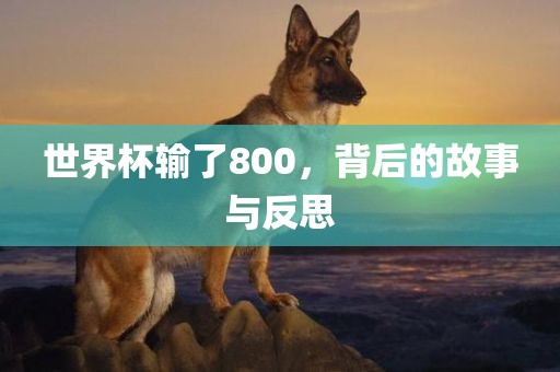 世界杯输了800，背后的故事与反思