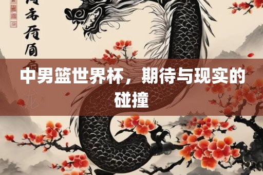 中男篮世界杯，期待与现实的碰撞