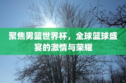 聚焦男篮世界杯，全球篮球盛宴的激情与荣耀洛阳市法福文化传播有限公司