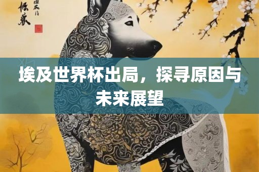 埃及世界杯出局，探寻原因与未来展望洛阳市法福文化传播有限公司