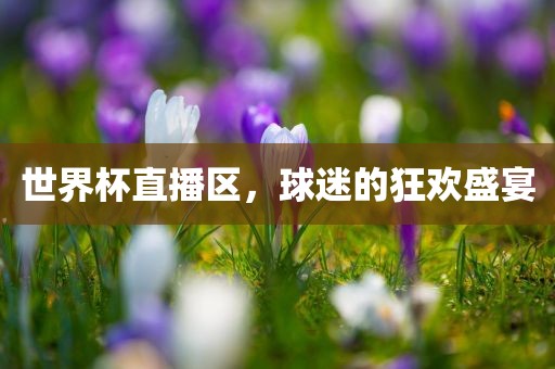 世界杯直播区，球迷的狂欢盛宴