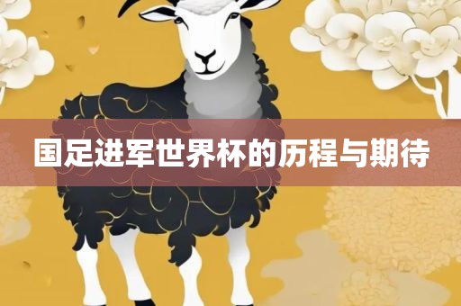 国足进军世界杯的历程与期待