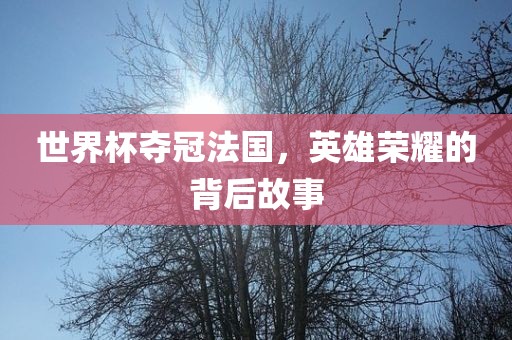 世界杯夺冠法国，英雄荣耀的背后故事