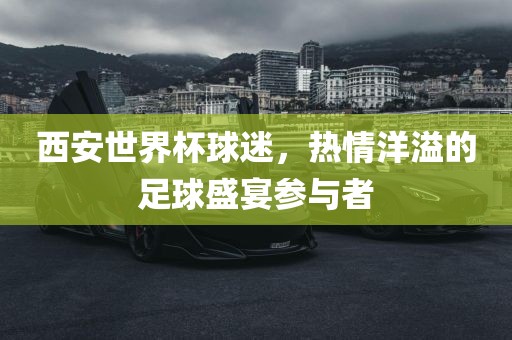 西安世界杯球迷，热情洋溢的足球盛宴参与者