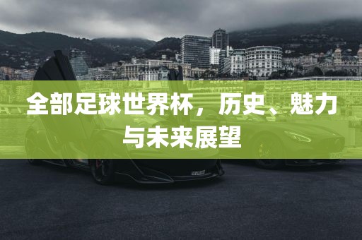 全部足球世界杯，历史、魅力与未来展望