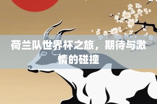 荷兰队世界杯之旅，期待与激情的碰撞