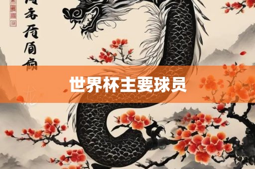 世界杯主要球员