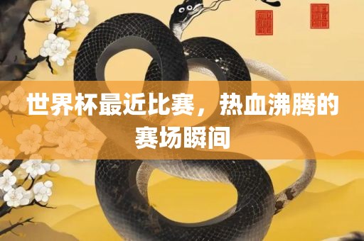 世界杯最近比赛，热血沸腾的赛场瞬间
