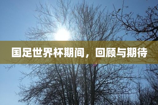 国足世界杯期间，回顾与期待